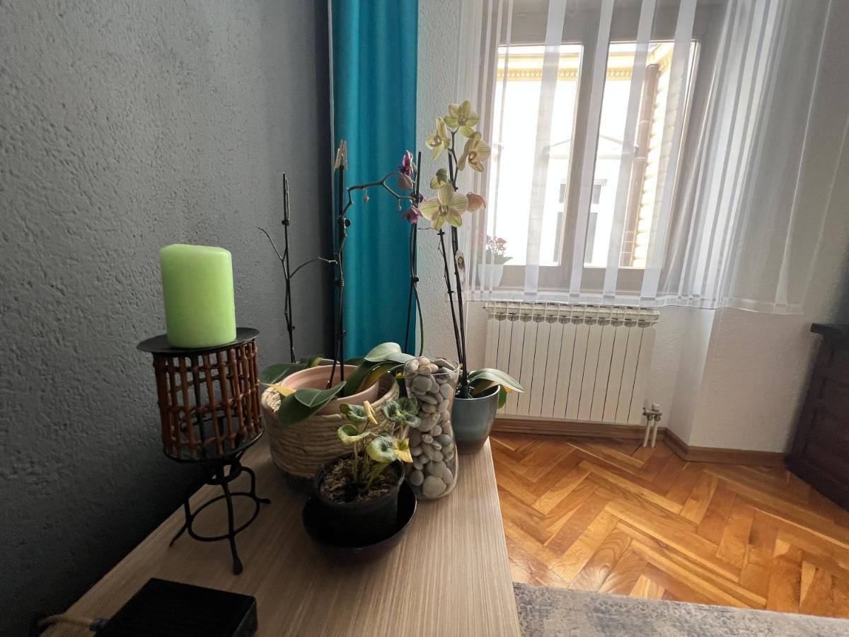 Djana Apartment SJJ Esterno foto